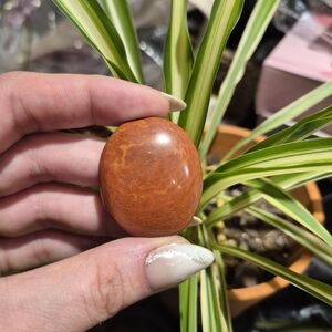 RED JASPER Gemstone Collection (6 Pieces)